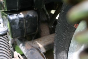 IMG_4804