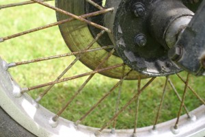 IMG_4807