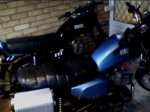 my new mz
